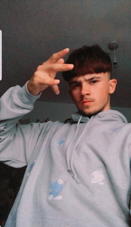 fuse box embroidered hoodie